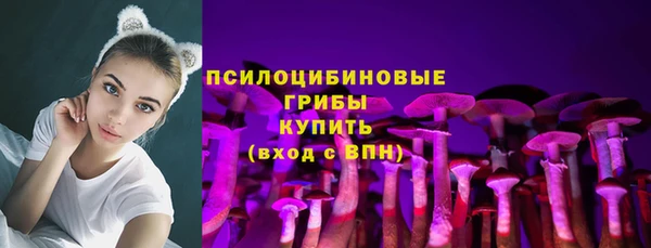 apvp Костерёво