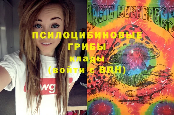apvp Костерёво