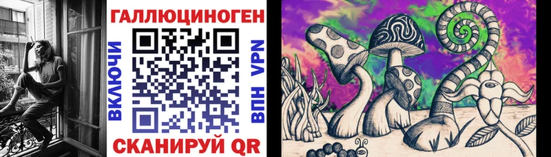 Псилоцибиновые грибы Psilocybine cubensis  Купить где  Смоленск 